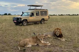 Game Drives