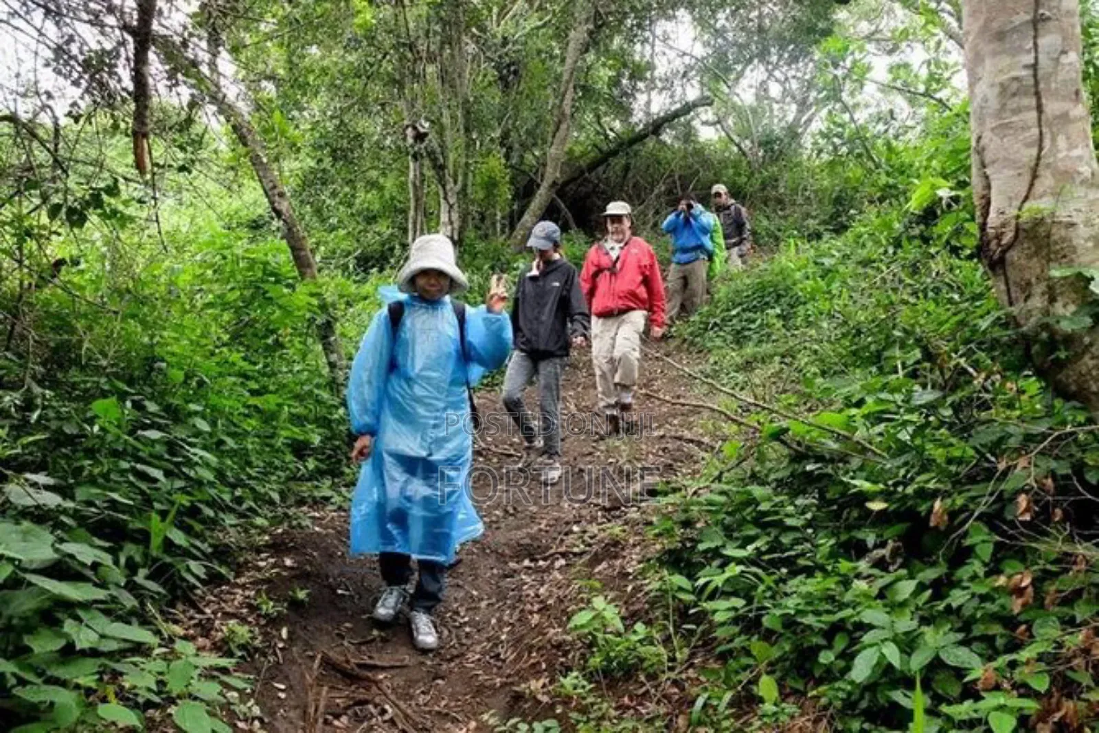 Expedition Trips