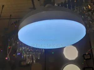 Fan Light Bulb