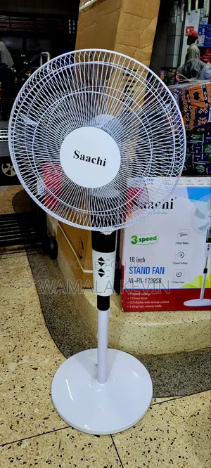 Electric Stand Fan