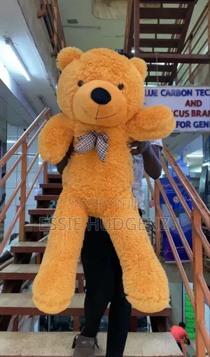 New Plush Teddy Bear