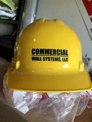 Customized Safety Helmet, Branded Construction Helmets