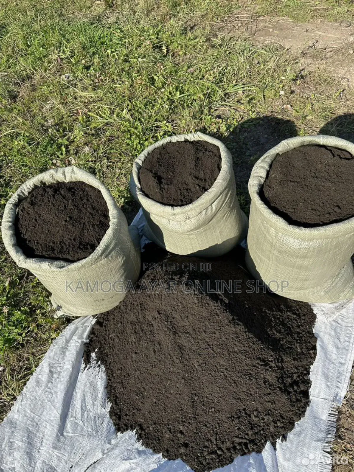 Fertile Organic Black Soil