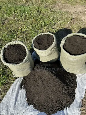 Fertile Organic Black Soil