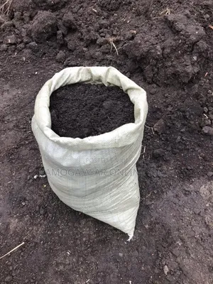 Organic Black Soil/Top Soil