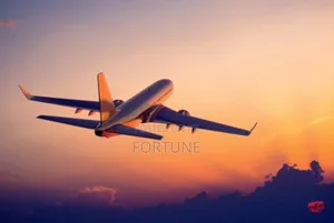 Flight Booking