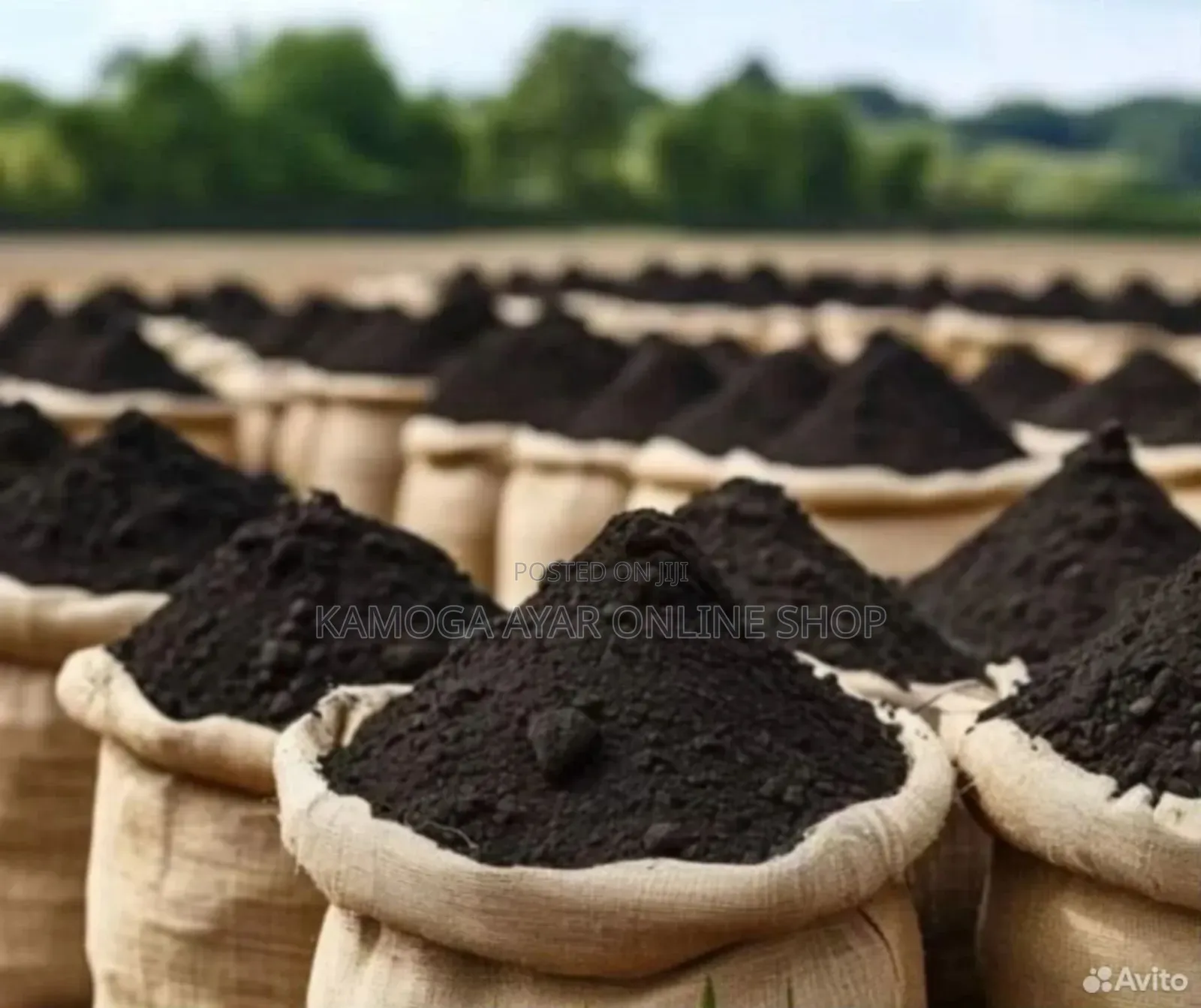 Fertile Black Soil