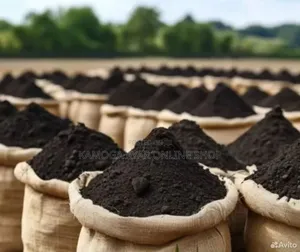 Fertile Black Soil
