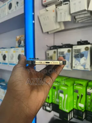 Apple iPhone 12 Pro Max 256 GB Gray