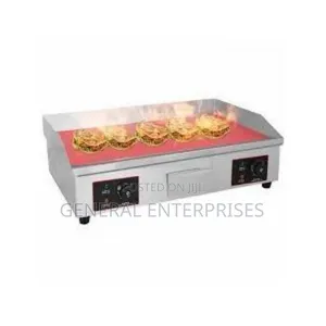 Commercial Electric Double Gridle
