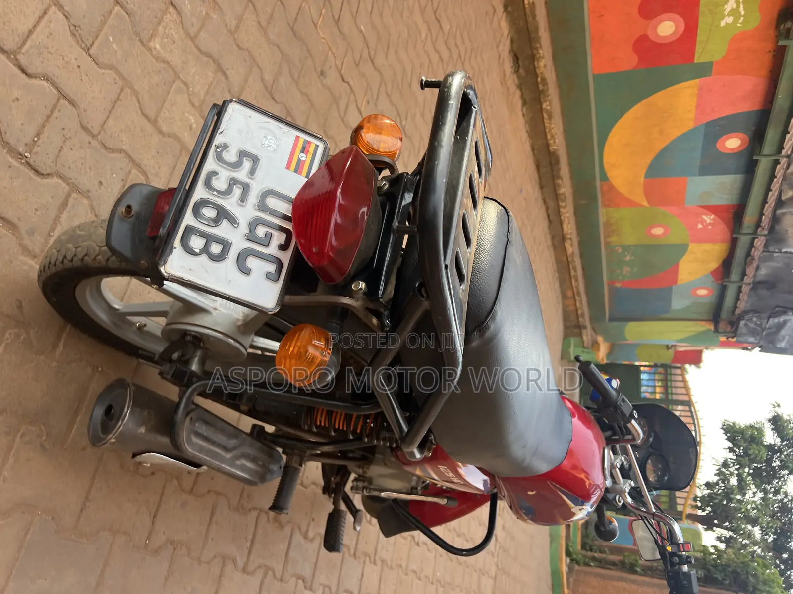 Bajaj CT 125X 2024 Red