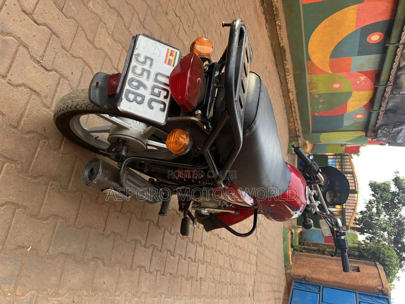 Bajaj CT 125X 2024 Red