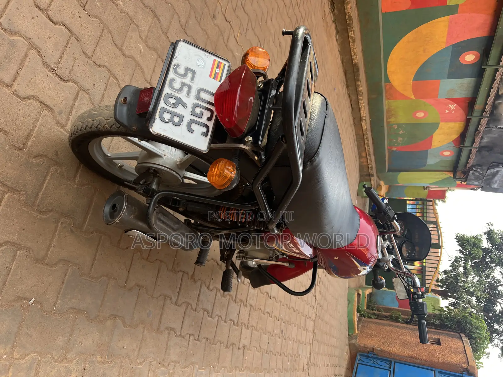 Bajaj CT 125X 2024 Red