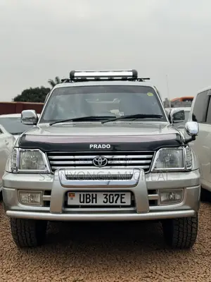 Toyota Land Cruiser Prado 2001 Silver