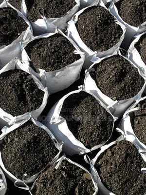 Fertile Black Soil/Black Earth