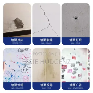 Wall Repair Cream( Plaster Paste)