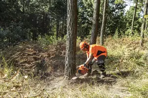 Husqvarna 272 Xp Chainsaw