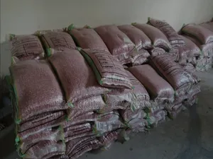 Maize Hybrid Seeds Suppliers 2kg
