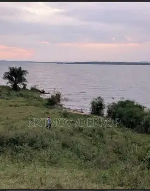 Acres of Land for Sale