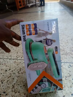 Portable Mini Steam Iron, DSP Model Kd1369.