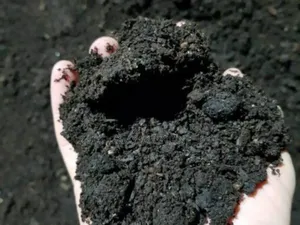 Pure Black Top Soil, Fertilizer, Manure