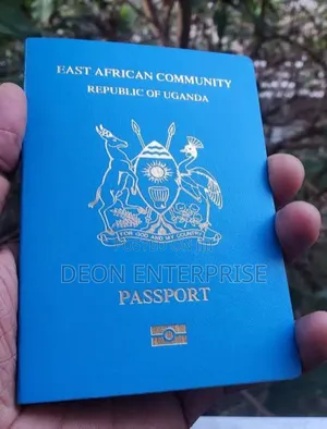 Passport Application Assistance