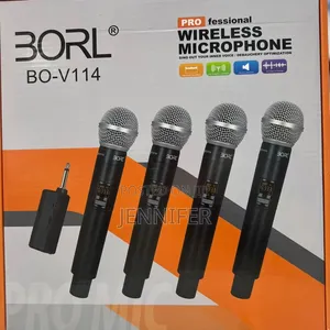 Borl Proffetional Wireless Microphone 4 in 1