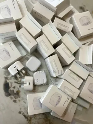 iPhone Charger