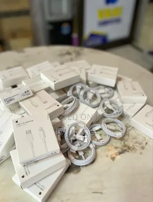 iPhone Charger
