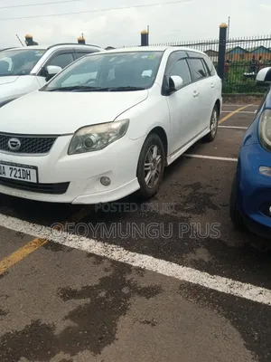 Toyota Corolla Fielder 2011 White