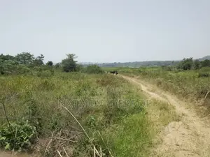 100 Acres of Land for Sale