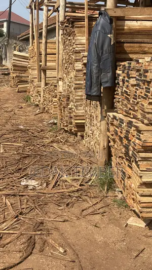 Timber for Construction