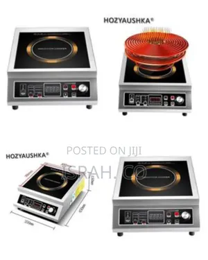 High-Power Commercial Induction Wok Cooker