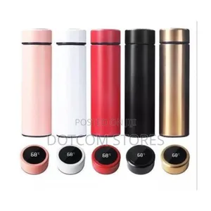 Insulated Water Bottle