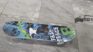 Kids Skate Board