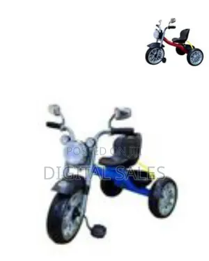 Children's Tricycle With A Parent Push Handle