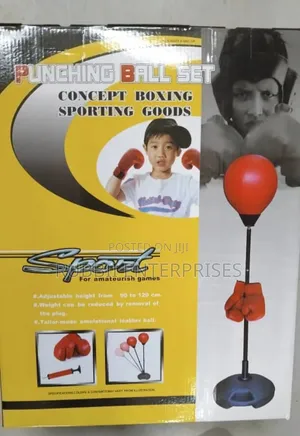 Punching Ball Set