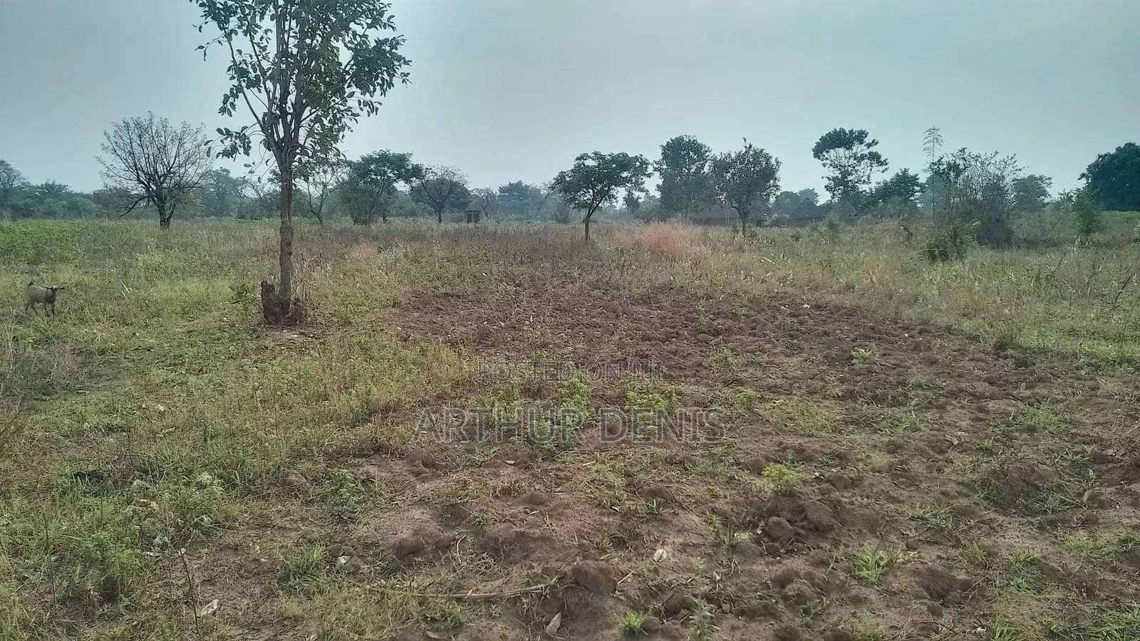 Plot for Sale