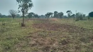 Plot for Sale