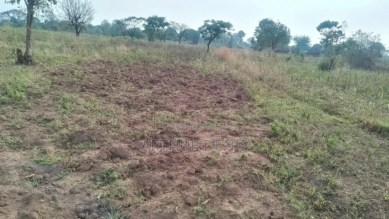 Plot for Sale