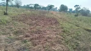 Plot for Sale