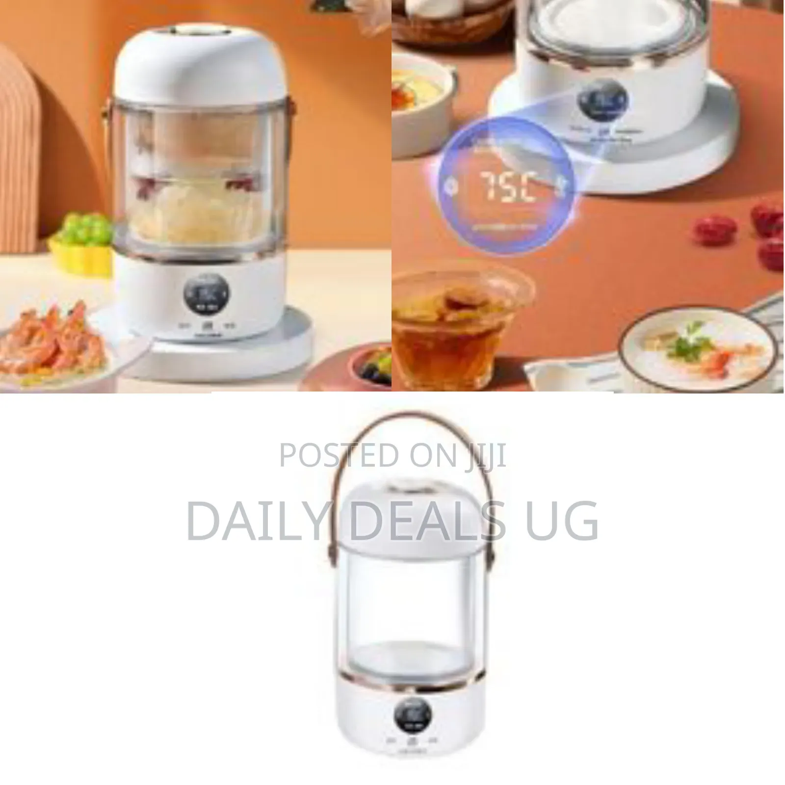 Smart Portable Electric Health Pot and Steamer - Clear