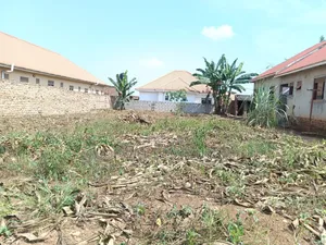 12 Decimals of Land in Seeta Bajo