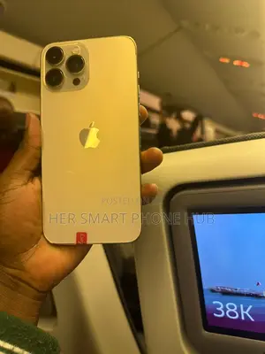 Apple iPhone 13 Pro Max 256 GB Gold