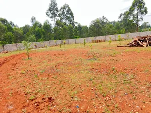 50 by 100 Plot of Land in Kira Mamerito Road