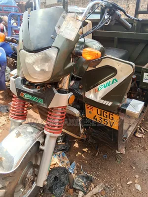 Tricycle 2024 Green