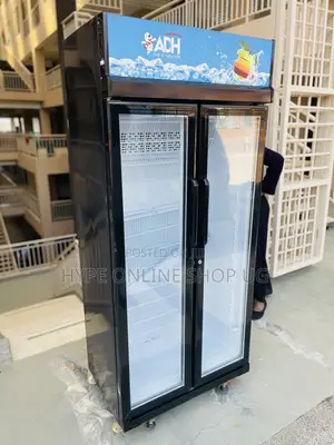 Free Standing 600l Showcase Display Refrigerator