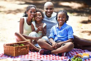 Picnic Holidays