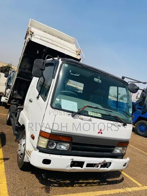 Fuso 6d17 White Baby Face