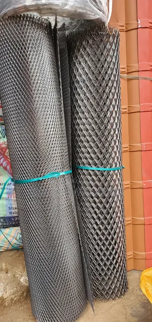 Ms Expanded Net